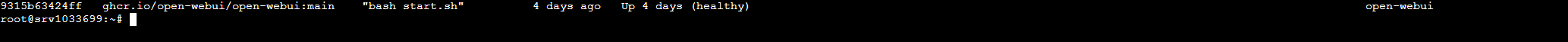 OpenWebUI running in Docker shell